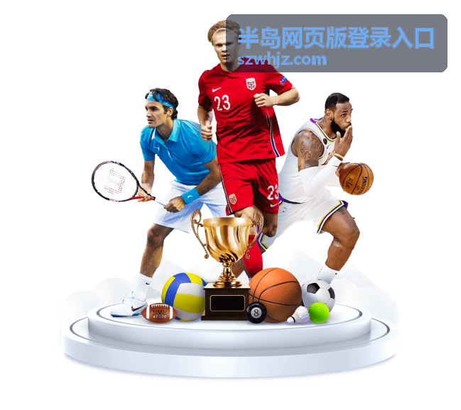 半岛网页版登录入口安全体系